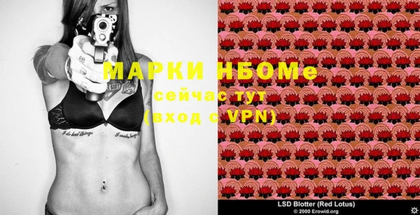 стафф Аркадак