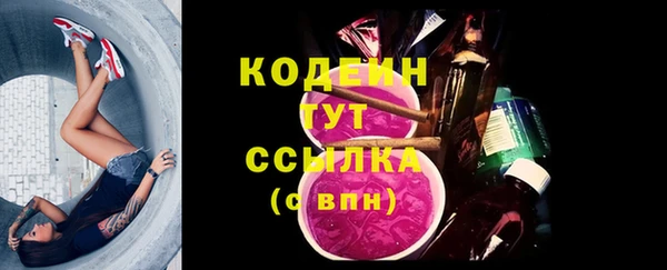 прущий лед Арсеньев