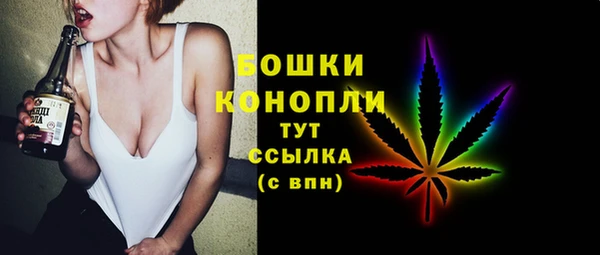 прущий лед Арсеньев