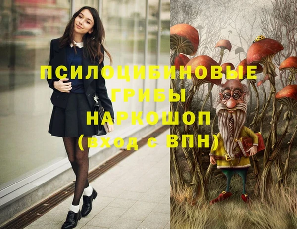 твердый Армянск
