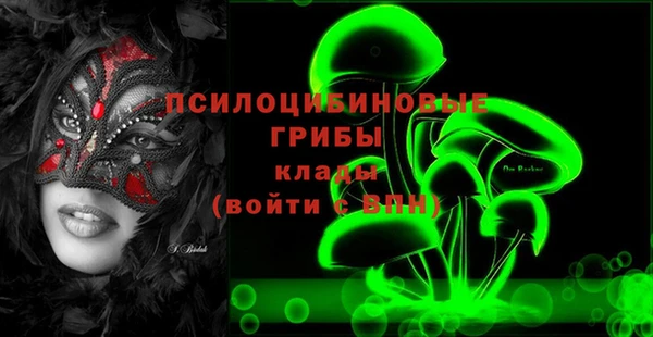 стафф Аркадак